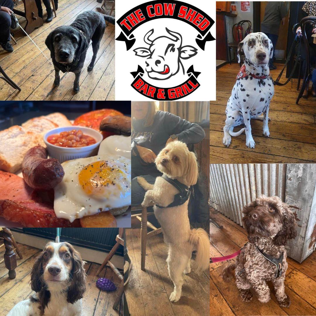 Dog friendly restaurant in Thanet