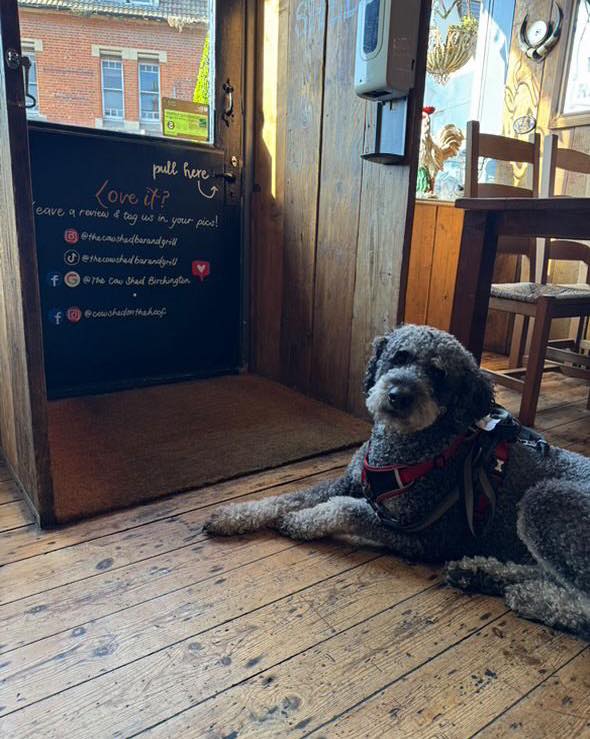 Family and dog friendly restaurant